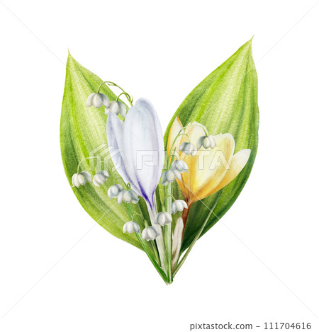 Watercolor bouquet of yellow and white blooming crocus and lily of the valley flowers isolated on white background. Spring and easter botanical hand painted saffron illustration. For designers, 111704616