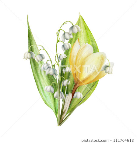 Watercolor bouquet of yellow blooming crocus and lily of the valley flowers isolated on white background. Spring and easter botanical hand painted saffron illustration. For designers, wedding, 111704618