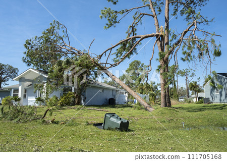 Tree damage to home rooftop after hurricane in Florida. Fallen down debris after strong tropical storm winds. Consequences of natural disaster 111705168
