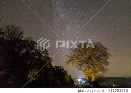 Dark trees along road under black sky with myriads of white stars and bright lights in distance. Dark trees along road under black sky with myriads of white stars and bright lights in distance. 111705210