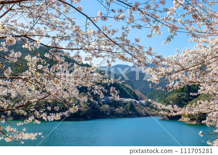 君野水壩公園（3月） 111705281