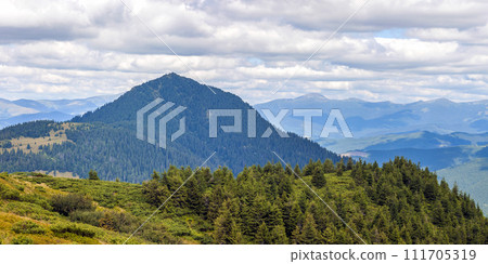 Panorama of Carpathian mountains in summer sunny day 111705319