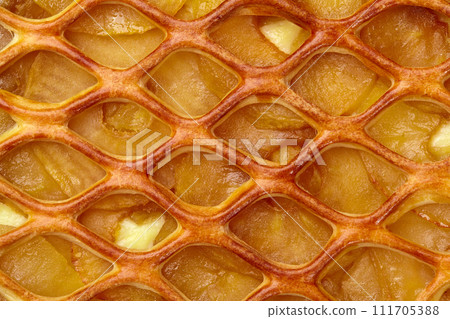 Macro shot of apple pie with custard and lattice top Macro shot of apple pie with custard and lattice top 111705388