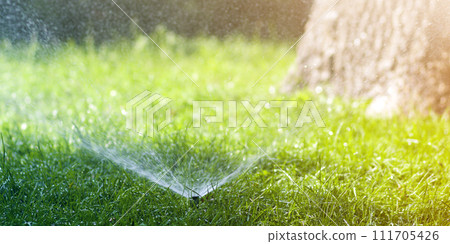 Lawn water sprinkler spraying water over lawn green fresh grass in garden or backyard on hot summer day. Automatic watering equipment, lawn maintenance, gardening and tools concept. Lawn water sprinkler spraying water over lawn green fresh grass in garden or backyard on hot summer day. Automatic watering equipment, lawn maintenance, gardening and tools concept. 111705426