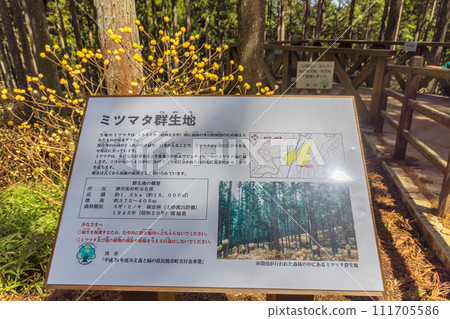 Mitsumata集團布 Mitsumata集團布 111705586