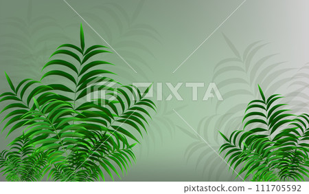 Green leaves of a young palm tree on an abstract background 111705592