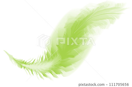 Feather, bird feather, wellness, business, logo Feather, bird feather, wellness, business, logo 111705656