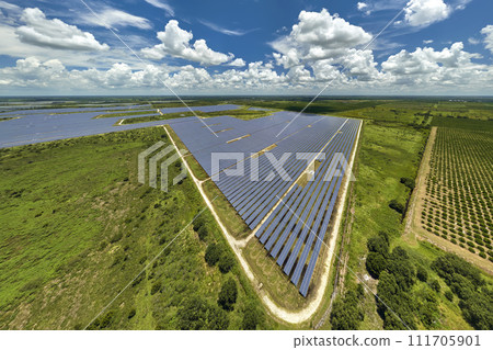 Aerial view of sustainable electric power plant between agricultural farm fields with solar photovoltaic panels for producing clean electrical energy. Renewable electricity with zero emission concept Aerial view of sustainable electric power plant between agricultural farm fields with solar photovoltaic panels for producing clean electrical energy. Renewable electricity with zero emission concept 111705901