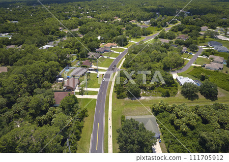 Aerial view of street traffic with driving cars in small town. American suburban landscape with private homes between green palm trees in Florida quiet residential area 111705912