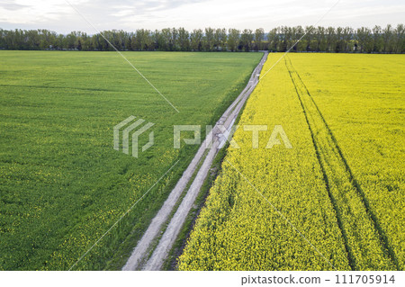 Aerial view of straight ground road with rain puddles in green fields with blooming rapeseed plants on blue sky copy space background. Drone photography. 111705914