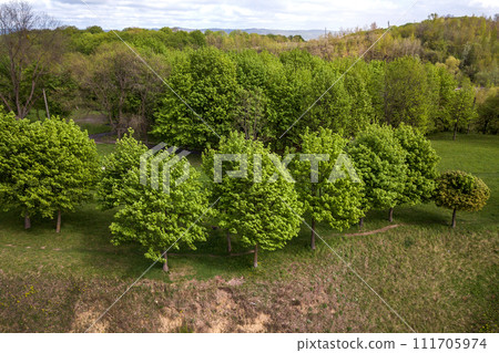 Aerial view of green summer forest or a park with many fresh trees. Aerial view of green summer forest or a park with many fresh trees. 111705974