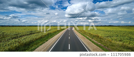 Aerial view of empty intercity road between green agricultural fields. Top view from drone of highway roadway Aerial view of empty intercity road between green agricultural fields. Top view from drone of highway roadway 111705986