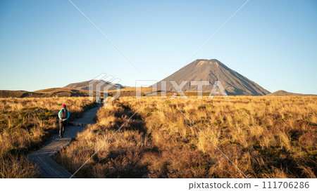 Tourists hiking during sunset in volcanic landscape towards big volcano in background, New Zealand 111706286