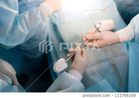 Close-up cropped shot of unrecognizable female nurse assists male surgeons, giving surgical clamp with tampon during surgical operation. Doctors team working performing surgery in intensive care unit. 111706289