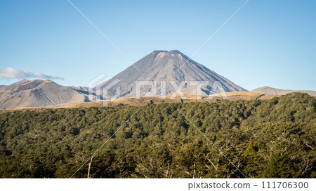 Simple volcanic landscape with big volcanic cone dominating in the center, New Zealand 111706300