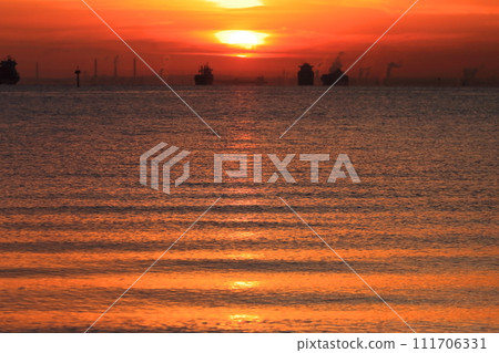 東京灣的晨光 111706331