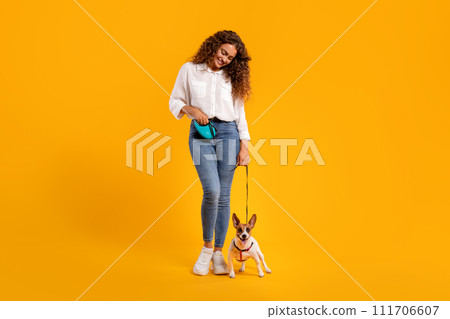 Female owner with leash looking at her seated Jack Russell Female owner with leash looking at her seated Jack Russell 111706607
