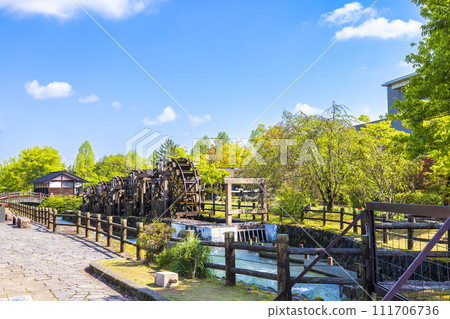 鬱金香公園（四月，陽光明媚） 111706736