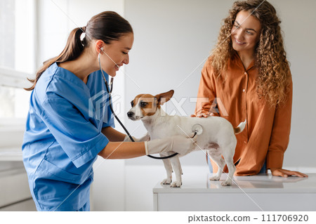Female vet examines dog as owner looks on with affection Female vet examines dog as owner looks on with affection 111706920