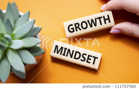 Growth Mindset symbol. Concept word Growth Mindset on wooden blocks. Beautiful orange background with succulent plant. Businessman hand. Business and Growth Mindset concept. Copy space Growth Mindset symbol. Concept word Growth Mindset on wooden blocks. Beautiful orange background with succulent plant. Businessman hand. Business and Growth Mindset concept. Copy space 111707560