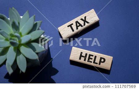 Tax Help symbol. Concept word Tax Help on wooden blocks. Beautiful deep blue background with succulent plant. Business and Tax Help concept. Copy space Tax Help symbol. Concept word Tax Help on wooden blocks. Beautiful deep blue background with succulent plant. Business and Tax Help concept. Copy space 111707569