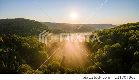Vibrant foggy evening over dark forest trees at bright summer sunset. Amazingl scenery of wild woodland at dusk. Vibrant foggy evening over dark forest trees at bright summer sunset. Amazingl scenery of wild woodland at dusk. 111707965