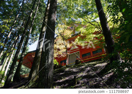 Mt. Hiei Enryakuji Temple Gyoin Sakamoto, Otsu City, Shiga Prefecture Mt. Hiei Enryakuji Temple Gyoin Sakamoto, Otsu City, Shiga Prefecture 111708697