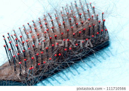 Hairs loss fall in comb on blue background. Hairs loss fall in comb on blue background. 111710566