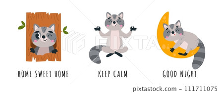 Funny raccoons in various poses. Home sweet home, keep calm and good night characters. Raccoon in tree, meditation and sleep on moon, vector set Funny raccoons in various poses. Home sweet home, keep calm and good night characters. Raccoon in tree, meditation and sleep on moon, vector set 111711075
