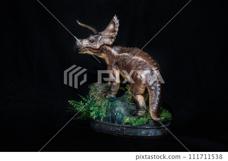 triceratops dinosaur in the dark 111711538