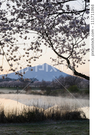 Ibaraki Mt. Tsukuba and cherry blossoms (Chikusei City) Ibaraki Mt. Tsukuba and cherry blossoms (Chikusei City) 111711868