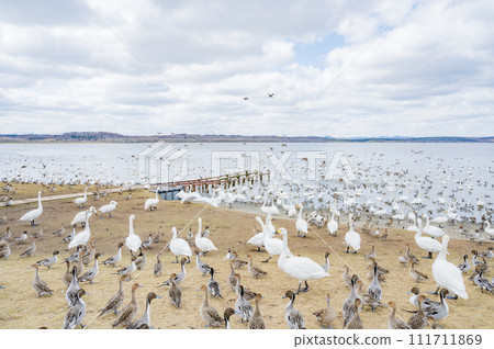 Hokkaido Lake Kutcharo (Hamatonbetsu Town) 111711869