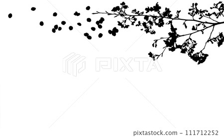 Silhouette of cherry blossoms, petals dancing in the spring breeze Silhouette of cherry blossoms, petals dancing in the spring breeze 111712252