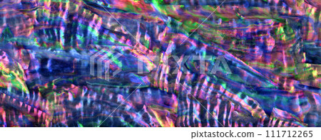 Shining bluish-purple mother-of-pearl sheet, material for the traditional Japanese craft “Maki-e” 111712265