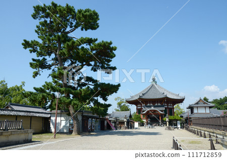 奈良市登大路町興福寺南園堂 111712859