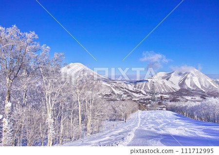 留壽都滑雪場，隆冬晴空，樹木、山刺和羊蹄山結霜 111712995