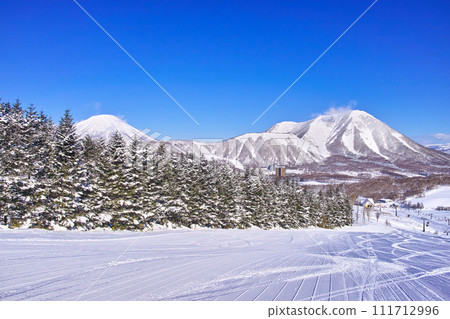 留壽都滑雪場在冬日陽光明媚的日子，白雪覆蓋的針葉樹、馬刺和羊蹄山 111712996