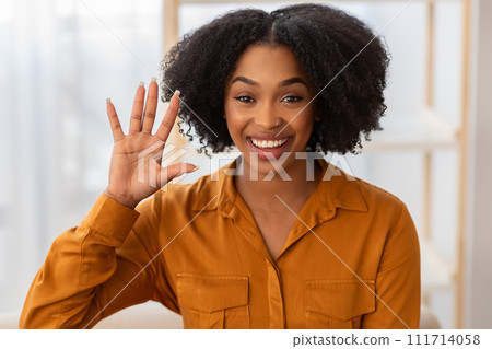 Cheerful millennial curly african american lady waving hand, has video call 111714058