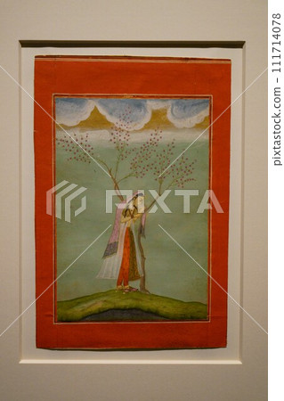 6349 奈卡靠在樹上休息 111714078