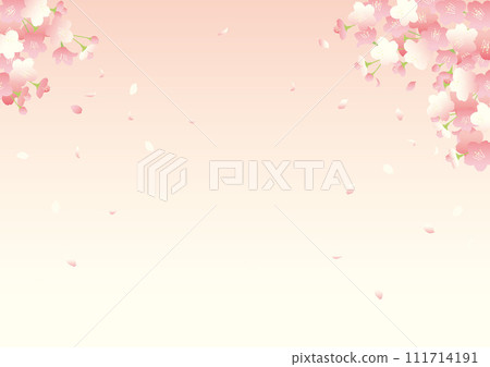 Vector illustration of cherry blossoms in full bloom (for background) Vector illustration of cherry blossoms in full bloom (for background) 111714191