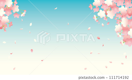 Vector illustration for 16:9 background of cherry blossoms with petals dancing against the blue sky 111714192
