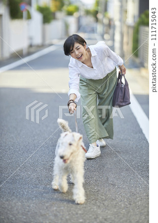 一名年輕女子帶著一隻剛毛獵狐犬在住宅區散步 111715043