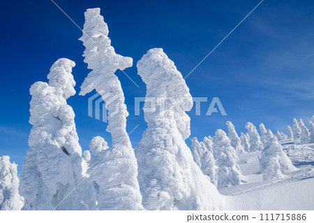 冬天的森吉山,秋田縣樹冰平的壯麗景色 冬天的森吉山,秋田縣樹冰平的壯麗景色 111715886