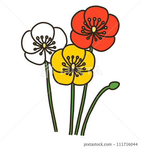 Poppy Poppy 111716044