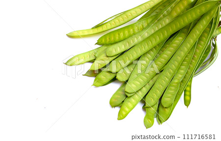 Leucaena leucocephala isolated fruit on white background Leucaena leucocephala isolated fruit on white background 111716581