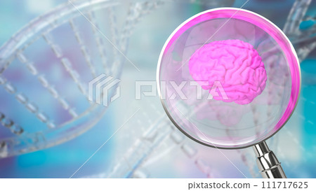 The magnifying glass and Brain for sci or medical. Concept 3d rendering. 111717625