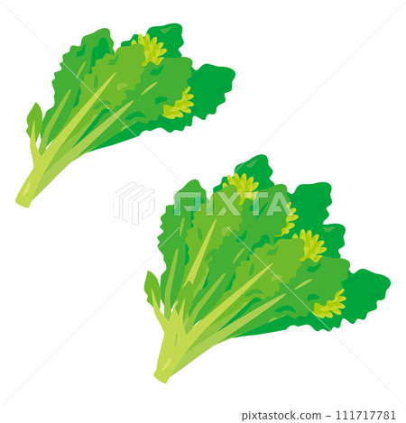 油菜花套裝 油菜花套裝 111717781