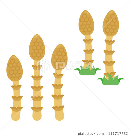 馬尾套裝2 馬尾套裝2 111717782