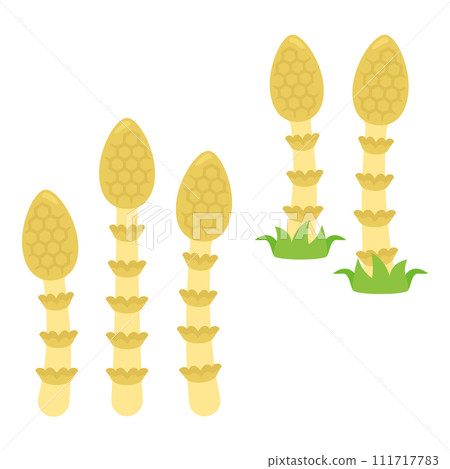 馬尾套裝1 馬尾套裝1 111717783