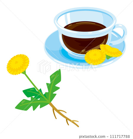 dandelion and dandelion coffee dandelion and dandelion coffee 111717788